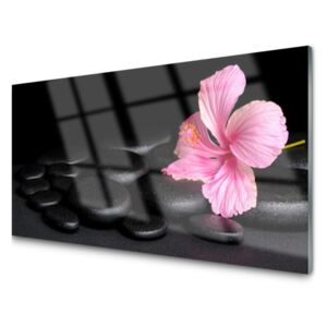 Obraz Akrylowy Czarny Kamienie Kwiat