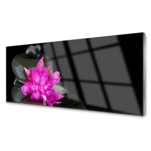 Obraz Akrylowy Kwiat Kamienie Czarny