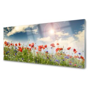 Obraz Akrylowy Łąka Kwiaty Słońce Natura
