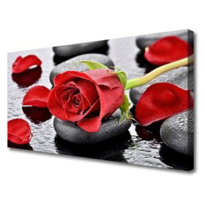Obraz Canvas Czerwona Róża Kwiat