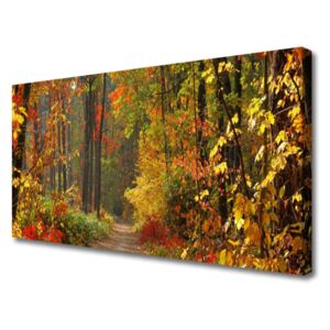 Obraz Canvas Las Natura Jesień
