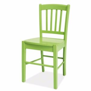 SELSEY Krzesło Bergen zielone