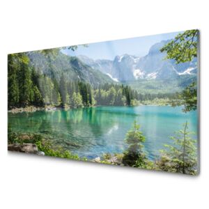 Panel Szklany Góry Jezioro Las Przyroda