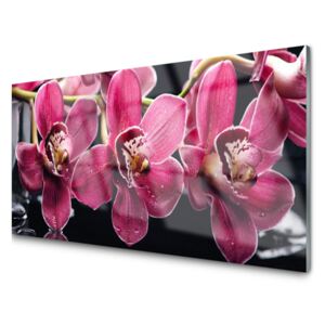 Panel Szklany Kwiaty Orchidea Pędy Natura