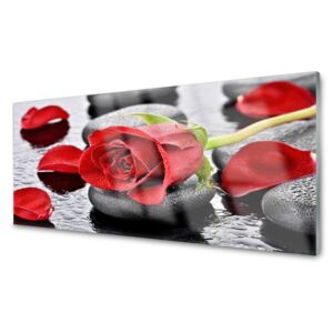 Panel Szklany Czerwona Róża Kwiat