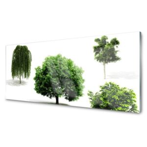 Panel Szklany Drzewa Natura Przyroda