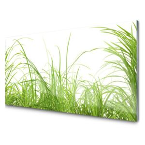 Panel Szklany Trawa Roślina Przyroda