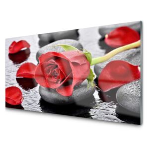 Panel Szklany Czerwona Róża Kwiat