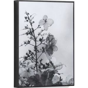 Obraz Calantha Branches 30x40 cm czarno-biały