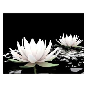 Fototapeta - Water lilies on the abstract surface
