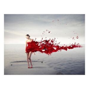 Fototapeta - Red beauty