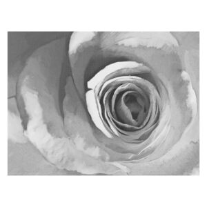 Fototapeta - Papierowa róża