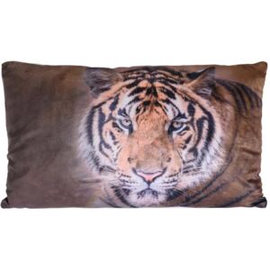 Brązowa poduszka z nadrukiem tygrysa, poduszka dekoracyjna, poduszka prostokątna, poducha, poduszka z kotem, poszewka na poduszkę