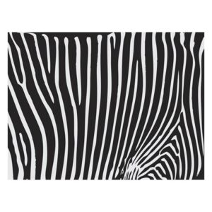 Fototapeta - Zebra pattern (czarno-biały)