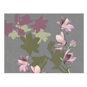Fototapeta - Kremowe magnolie