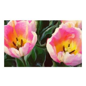Fototapeta - tulipany - duet