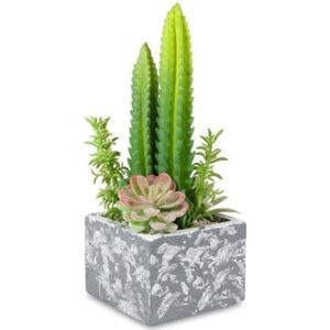 Ozdobna kompozycja sztucznych kaktusów
