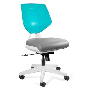 Obrotowe krzesło specjalistyczne Kaden Low Grey/Green