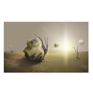 Fototapeta - pustynia - motyw abstrakcyjny