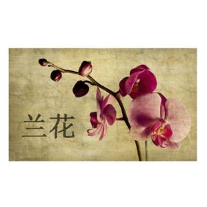 Fototapeta - Japanese orchid
