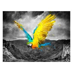 Fototapeta - Exotic parrot