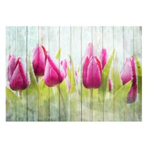Fototapeta - Tulipany na białym drewnie