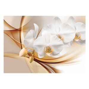 Fototapeta - Kwiat orchidei