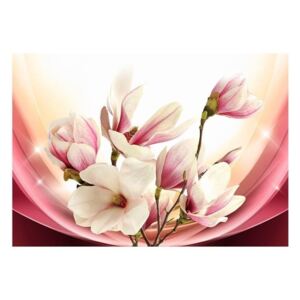 Fototapeta - Magnolia w promieniach