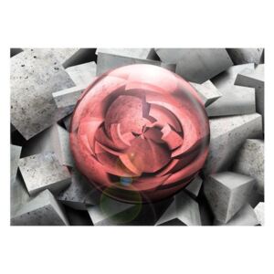 Fototapeta - kamienna róża
