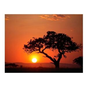 Fototapeta - Afryka: zachód słońca