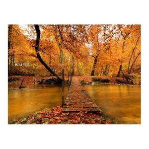 Fototapeta - Drewniany mostek w lesie