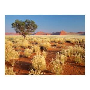 Fototapeta - Pustynny krajobraz, Namibia