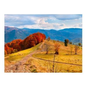 Fototapeta - Kolorowy jesienny pejzaż, Karpaty