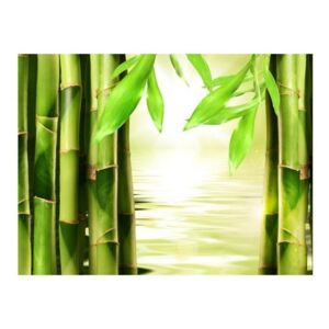 Fototapeta - Bambus i zen
