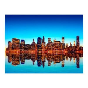 Fototapeta - Skyline of New York from the water