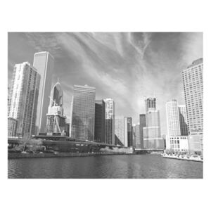 Fototapeta - Panorama Chicago (black and white)