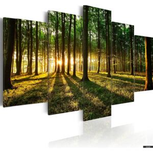 Obraz - Przygoda w lesie 200x100 cm