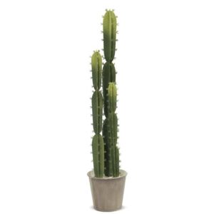 Ozdoby Kaktus