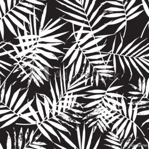 Fototapeta czarno białe liście paproć palmy