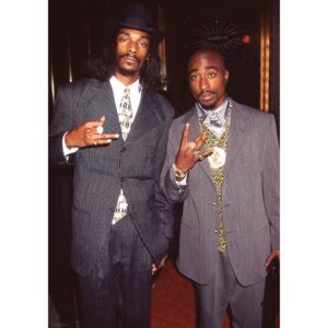 Plakat, Obraz Snoop Dogg Tupac - Suits, (59,4 x 84,1 cm)