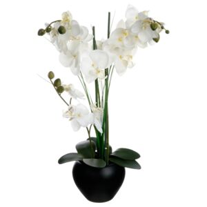 Orchidea sztuczna w czarnej doniczce, 50 cm