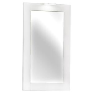 Lustro łazienkowe z oświetleniem prostokątne 35,x59 cm Delta Biała rama