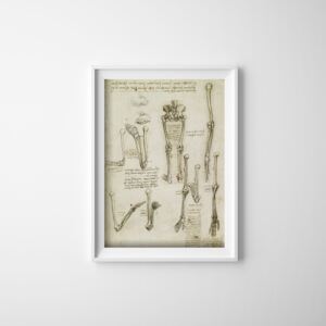 Plakat retro do salonu Plakat retro do salonu Anatomiczne kości da Vinci