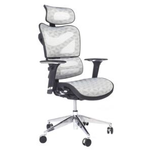 Ergonomiczny fotel biurowy ERGO 600 jasny szary