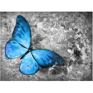 Fototapeta HD: Niebieski motyl, 250x193 cm