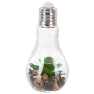 Żarówka dekoracyjna LED ze sztuczną rośliną, 18,5 cm, motyw sukulent