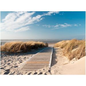 Fototapeta HD: Morze północne i plaża, 250x193 cm