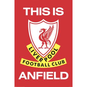 Plakat, Obraz Liverpool Fc - This Is Anfield, (61 x 91,5 cm)