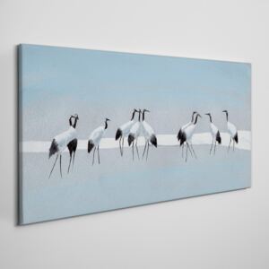 Obraz Canvas zwierzęta ptaki