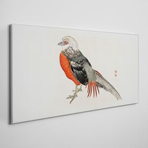 Obraz Canvas Nowoczesny Zwierzę Ptak